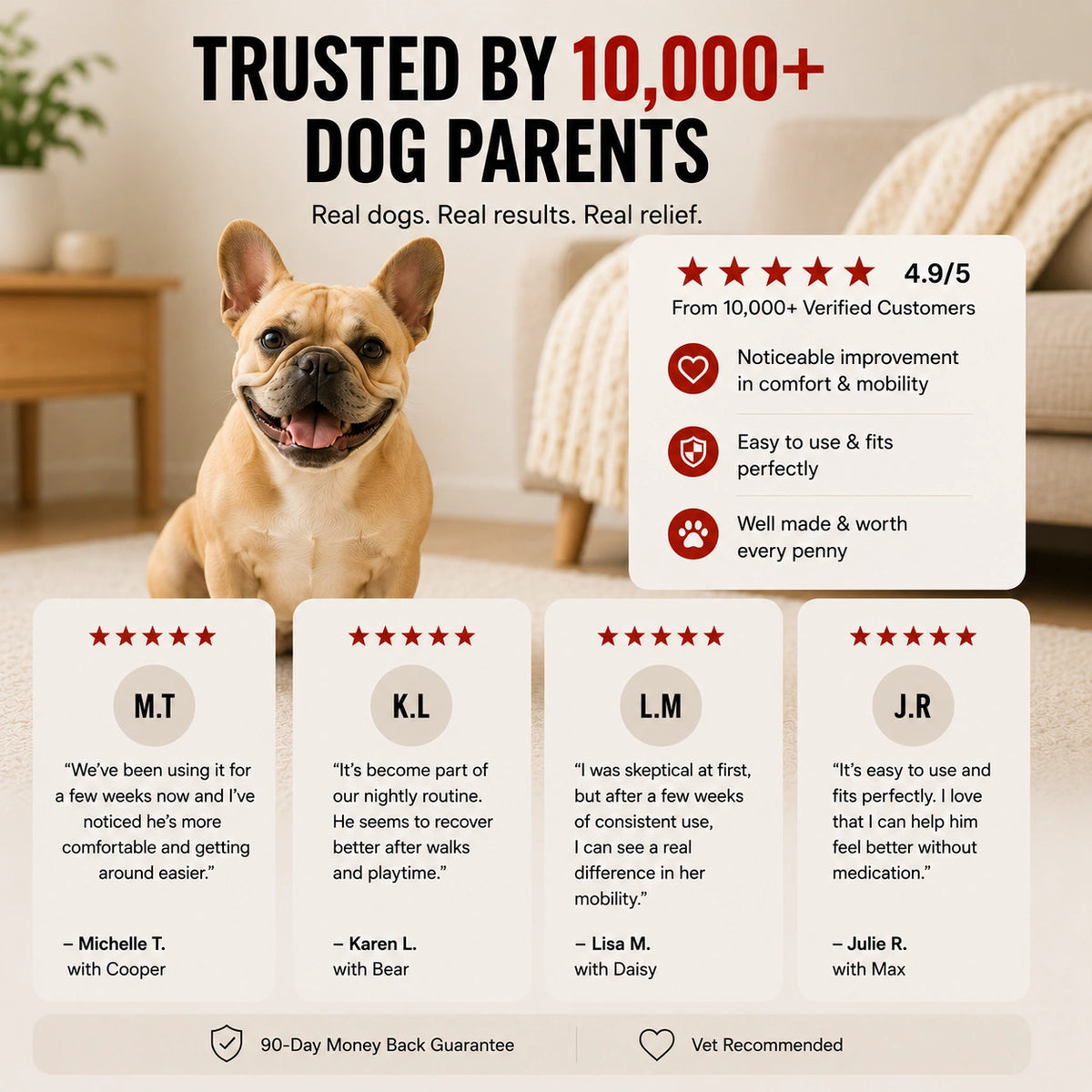 JointGlow™ Red Light Pad For Dogs