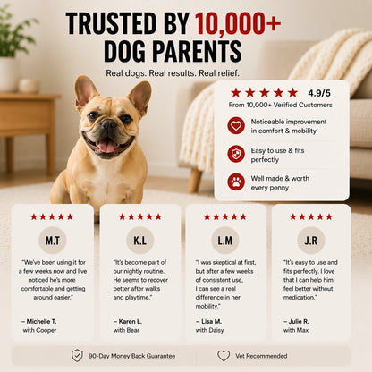 JointGlow™ Red Light Pad For Dogs