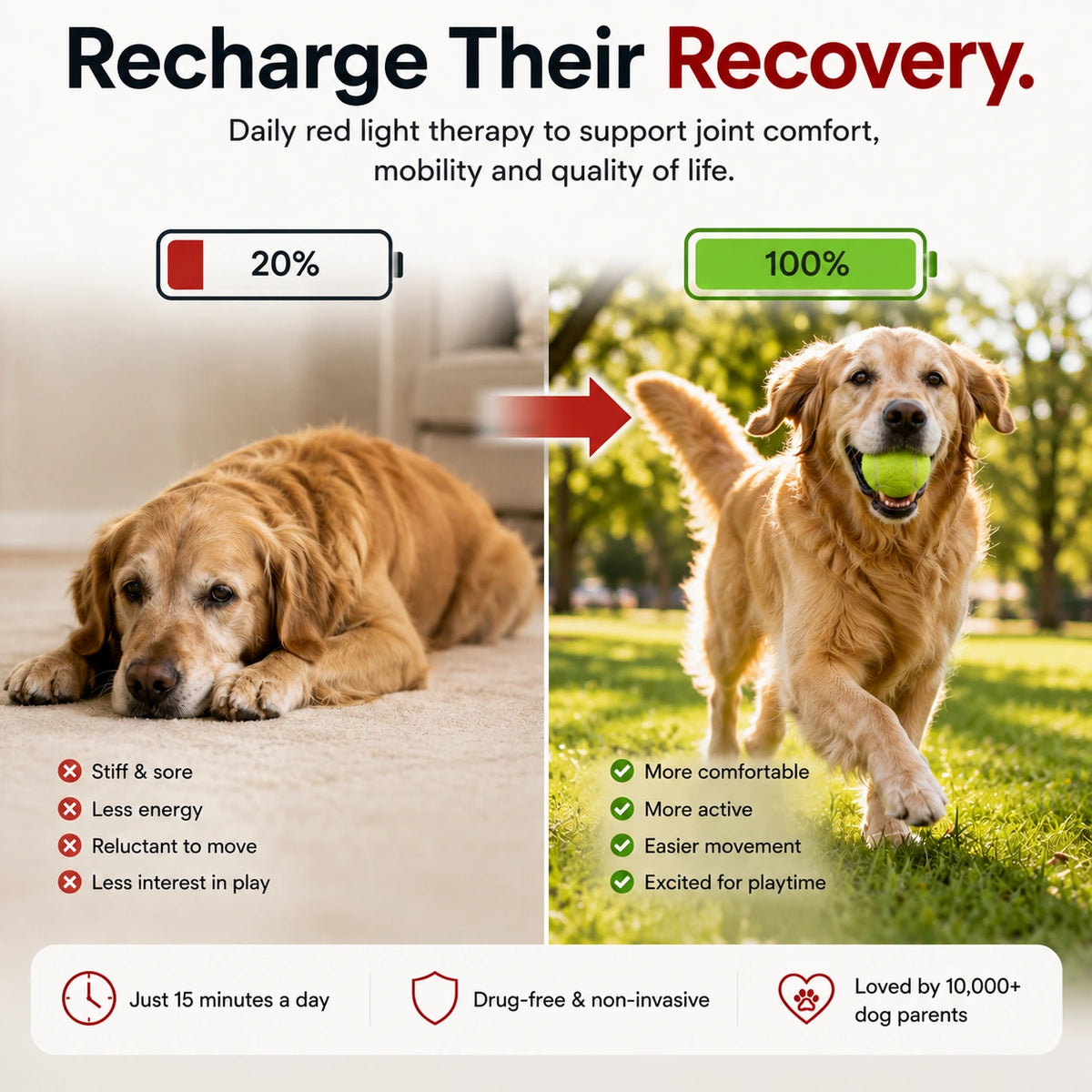 JointGlow™ Red Light Pad For Dogs