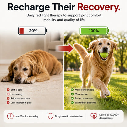 JointGlow™ Red Light Pad For Dogs