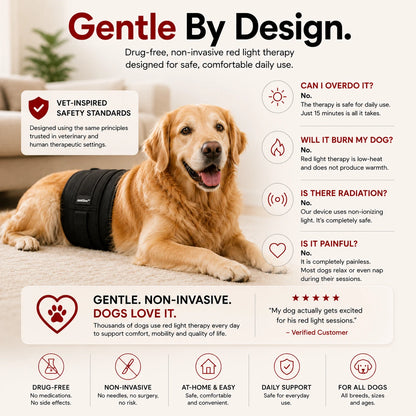 JointGlow™ Red Light Pad For Dogs