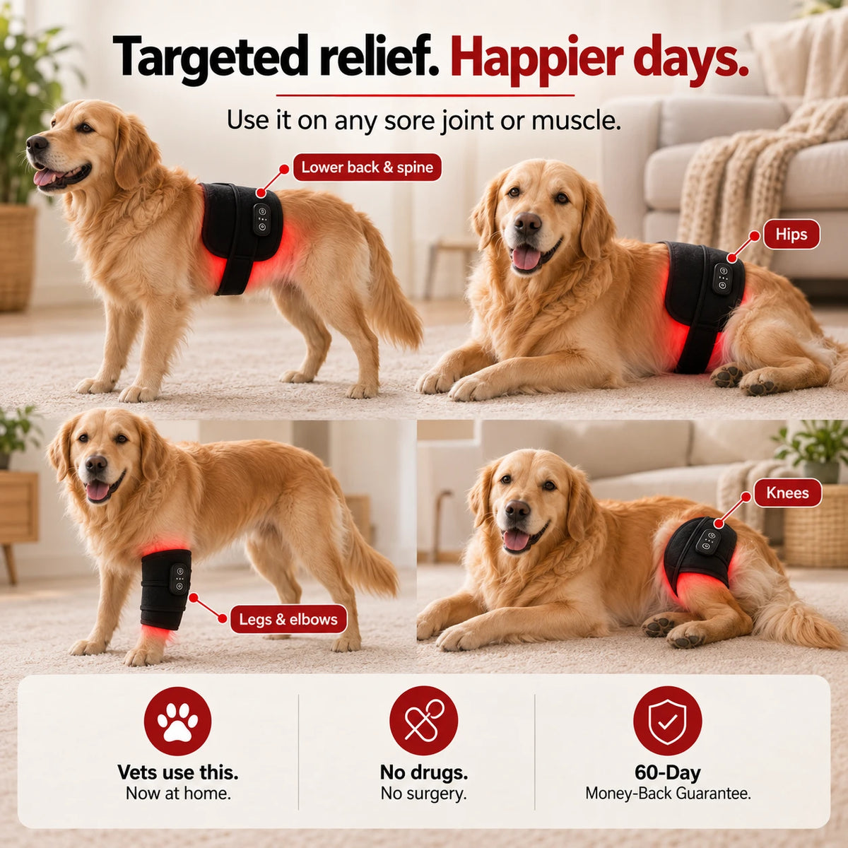 JointGlow™ Red Light Pad For Dogs