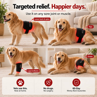 JointGlow™ Red Light Pad For Dogs