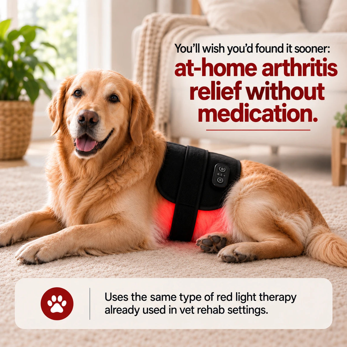 JointGlow™ Red Light Pad For Dogs