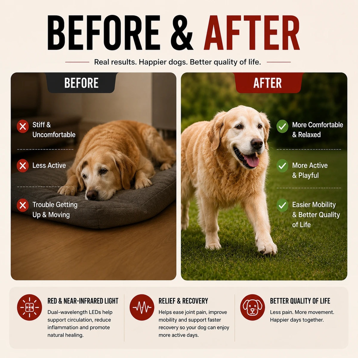 JointGlow™ Red Light Pad For Dogs