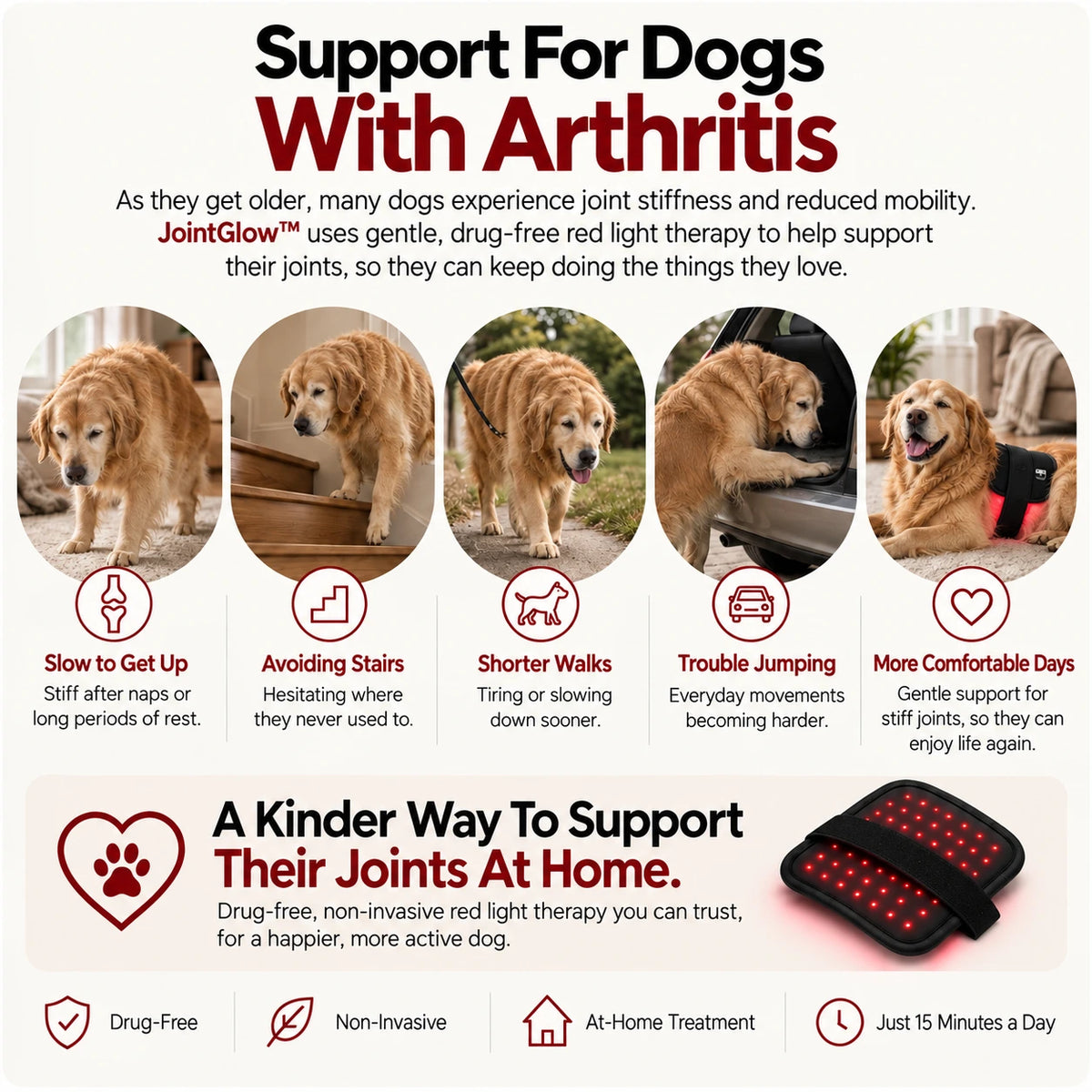 JointGlow™ Red Light Pad For Dogs