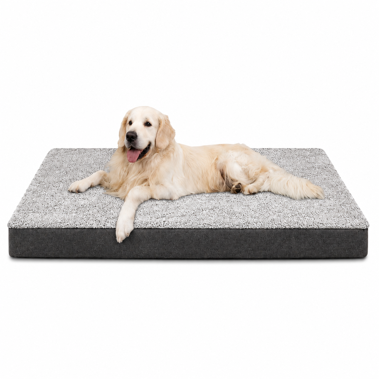 RestRight Orthopedic Dog Bed