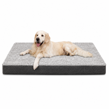 RestRight Orthopedic Dog Bed