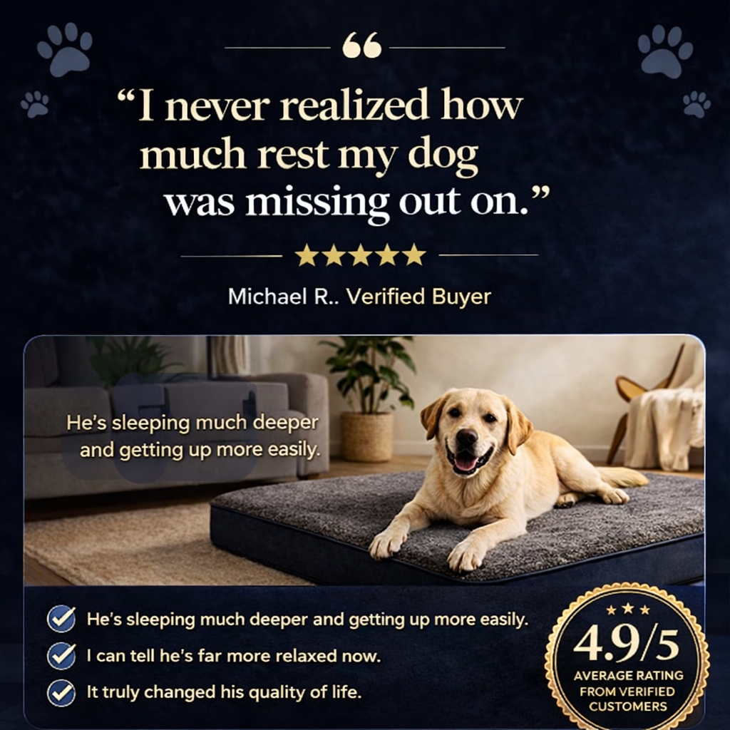 RestRight Orthopedic Dog Bed