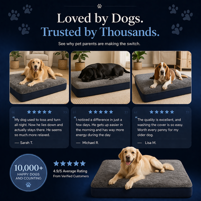 RestRight Orthopedic Dog Bed